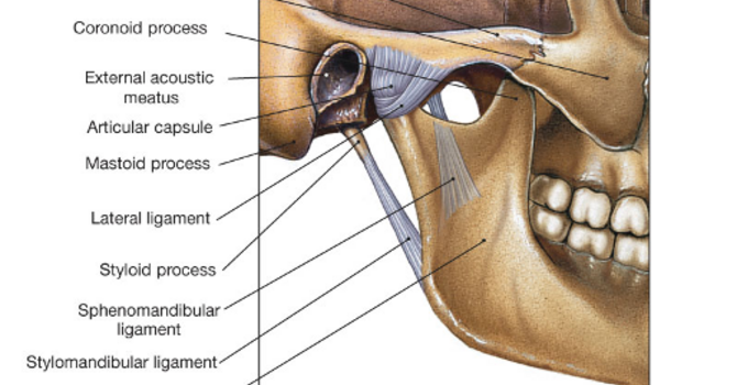 Temporomandibular Joint Dysfunction
