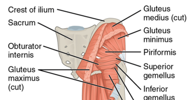Glute Medius Syndrome 